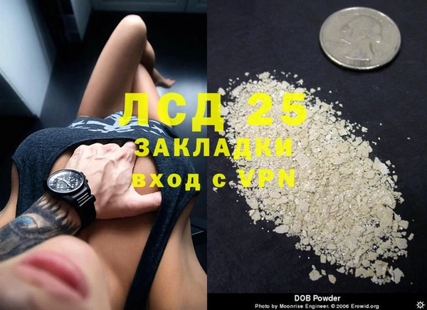 стаф Алексин