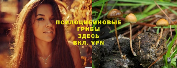 гидропоника Аркадак