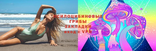 гидропоника Аркадак