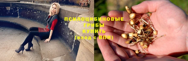 mix Армянск