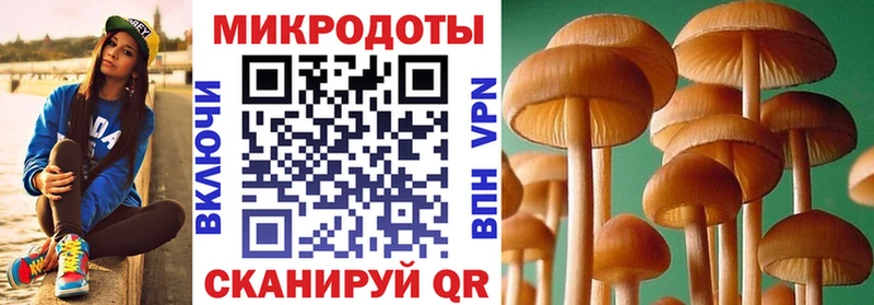 Купить  Венёв  Псилоцибиновые грибы мухоморы 